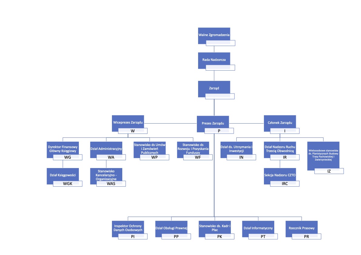 Schemat Organizacyjny TLSA 2023